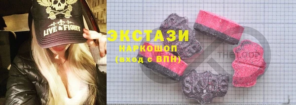 таблы Гусев