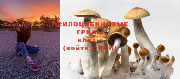 таблы Гусев