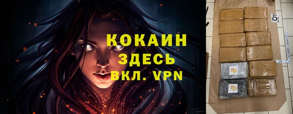 спайс Дмитриев
