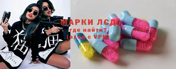 таблы Гусев