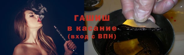 таблы Гусев