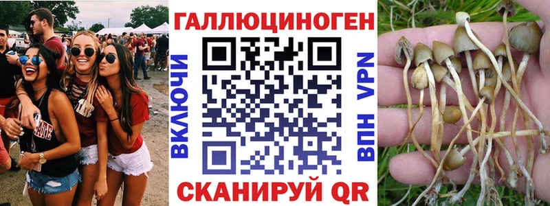 Купить закладки  Нытва  Галлюциногенные грибы Psilocybe 